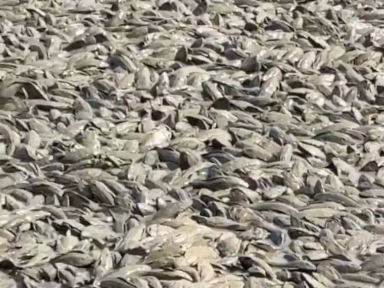 Se seca el río Juwana en Indonesia
