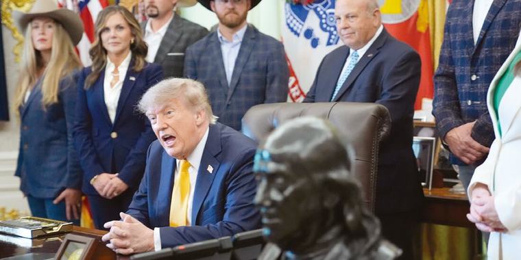 EU abre frente contra el lobo gris mexicano
