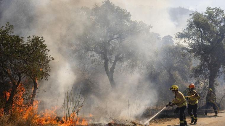 Los incendios y las olas de calor amenazan con deteriorar la calidad del aire: OMM