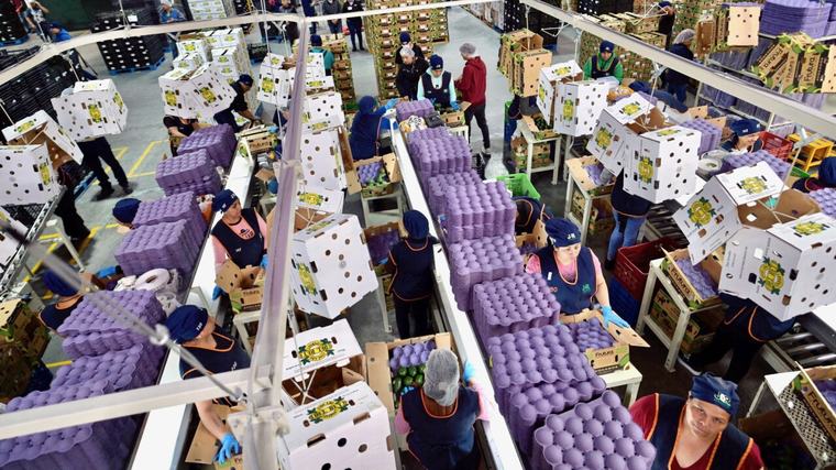 La inversión sorprende al alza, pero el consumo revela la debilidad de la demanda, reporta Inegi