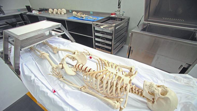 Acumuladas, más de 289,000 peticiones forenses en fiscalías