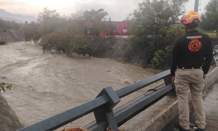 Lluvias afectan 208 árboles en Nuevo León