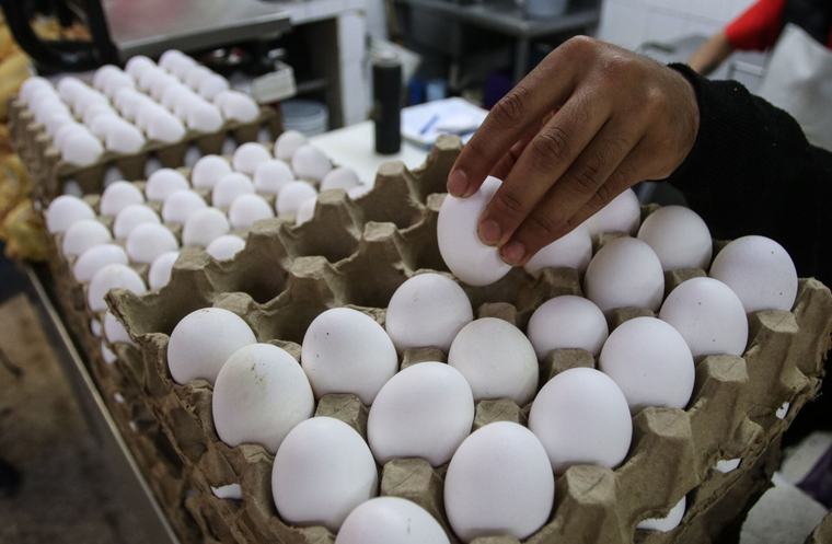 ¿De qué serán las tortas en el regreso a clases? Precio del huevo se dispara en hasta 13 pesos